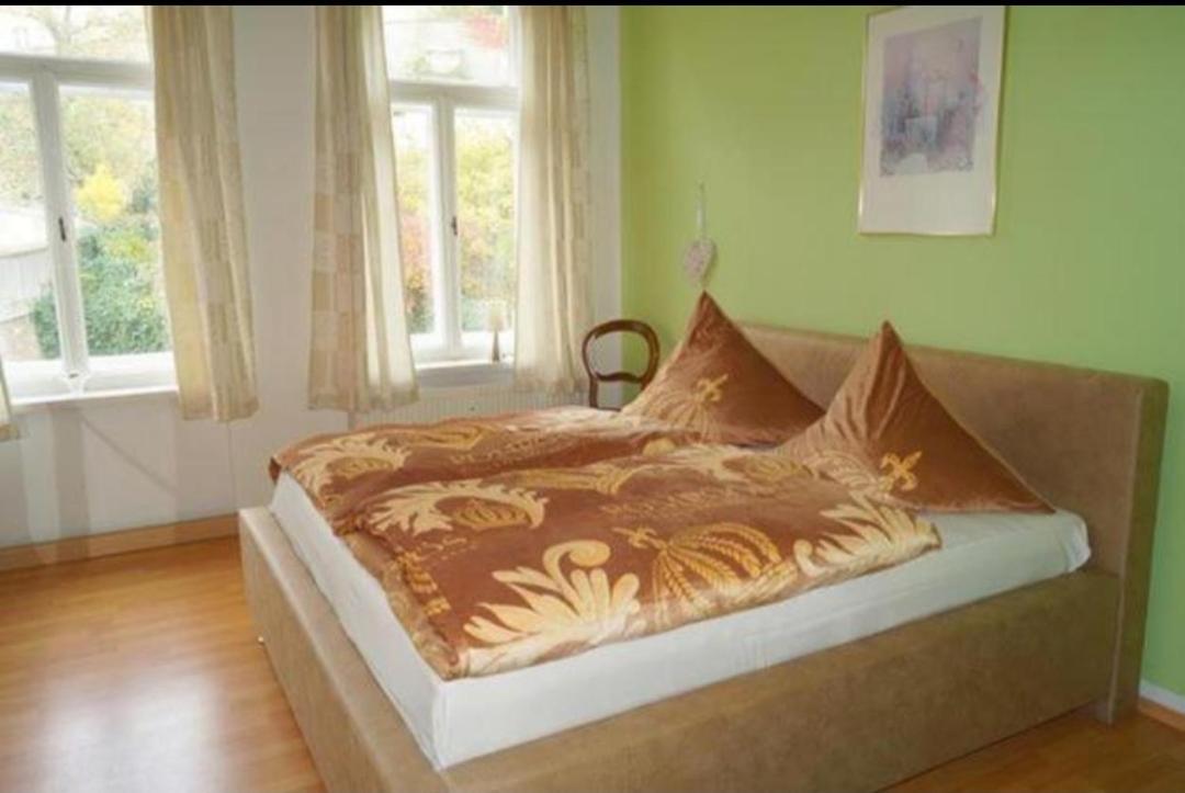 Pension Und Ferienwohnung Stadt Альтенбурґ Екстер'єр фото